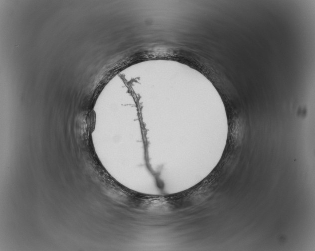 X0000108480715200904241300