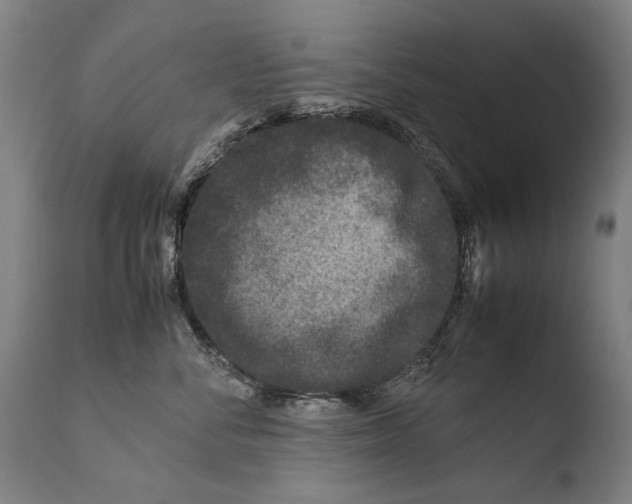 X0000108480716200904241300