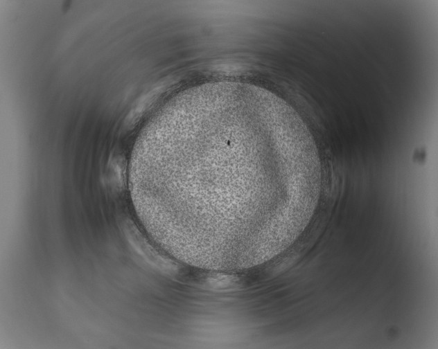 X0000108480718200904241300