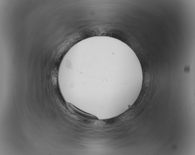 X0000108480719200904241300