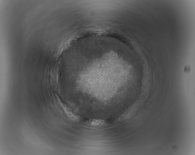 X0000108480720200904241300
