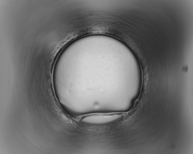 X0000108480721200904241259