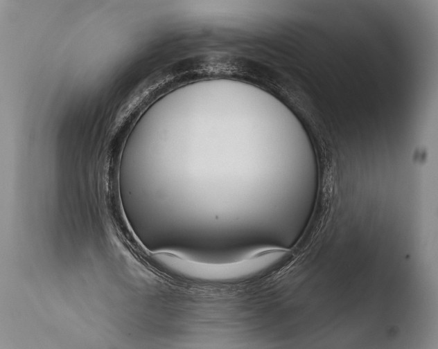 X0000108480722200904241259