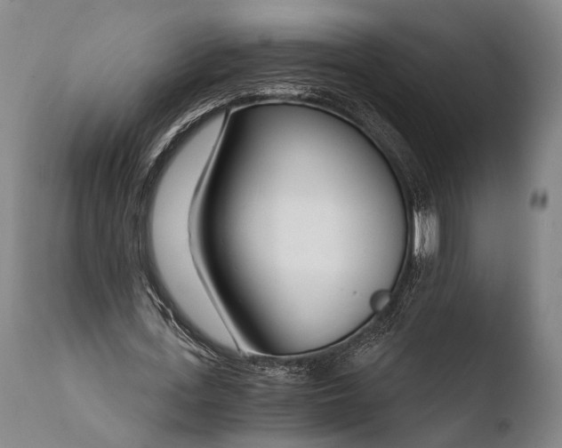X0000108480723200904241259