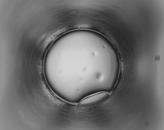 X0000108480725200904241259