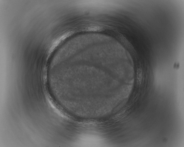 X0000108480726200904241259