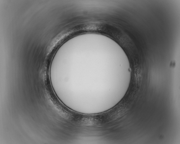 X0000108480728200904241259