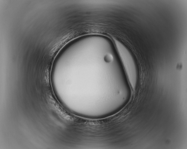 X0000108480729200904241259