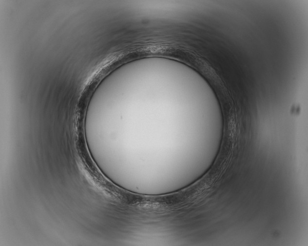X0000108480730200904241259