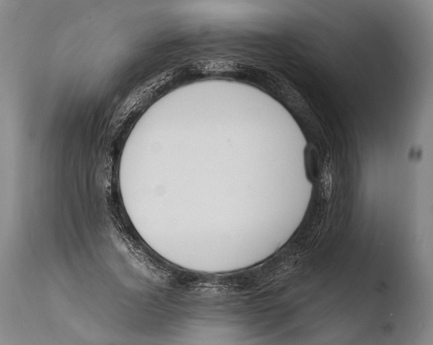 X0000108480732200904241259