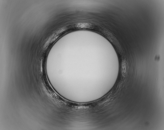 X0000108480734200904241259