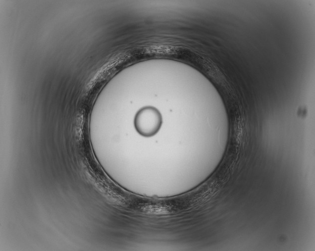 X0000108480735200904241259