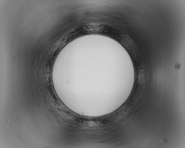 X0000108480737200904241259