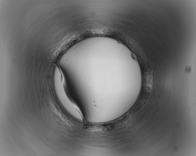 X0000108480738200904241259