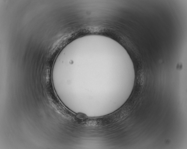 X0000108480740200904241300