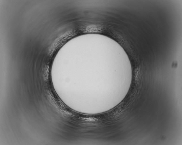 X0000108480741200904241300
