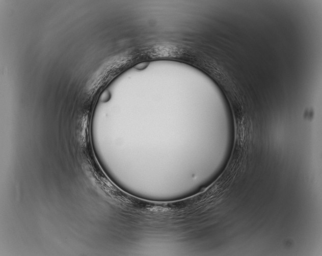 X0000108480742200904241300