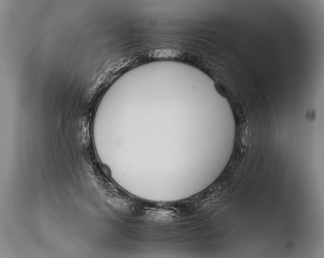 X0000108480743200904241300