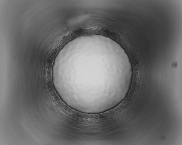 X0000108480745200904241300