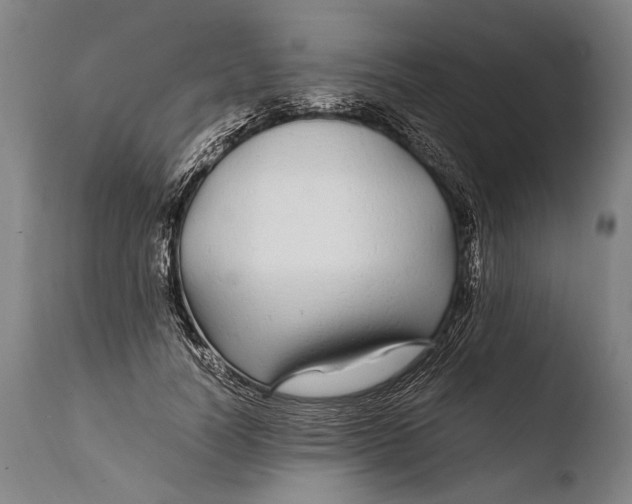 X0000108480746200904241300