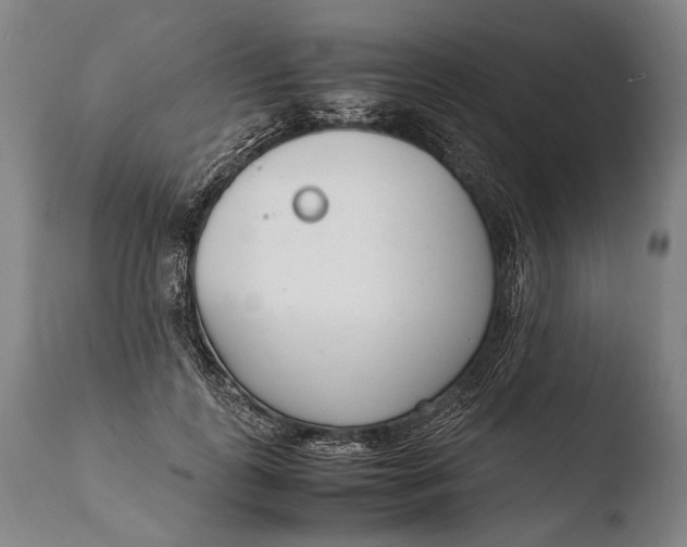 X0000108480747200904241300