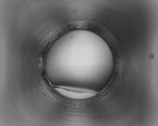 X0000108480748200904241300