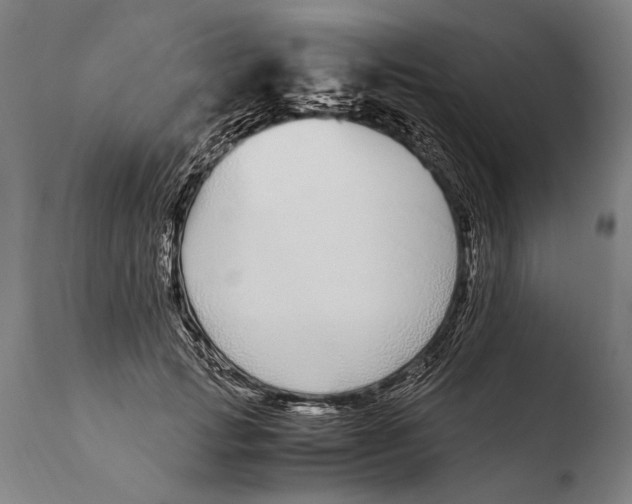 X0000108480749200904241300