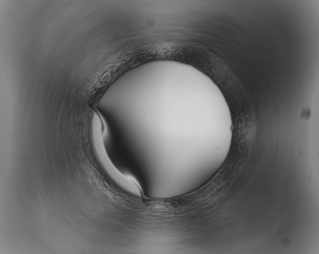 X0000108480750200904241300