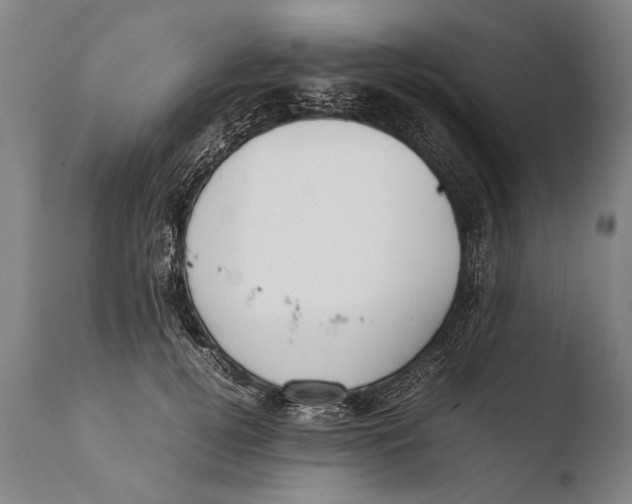 X0000108480752200904241300