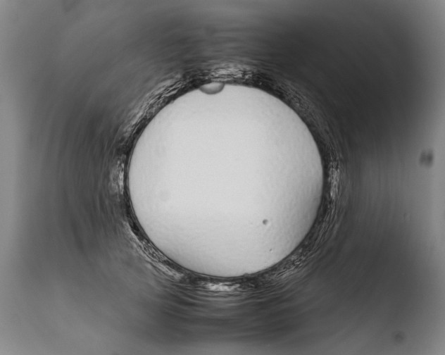 X0000108480753200904241300