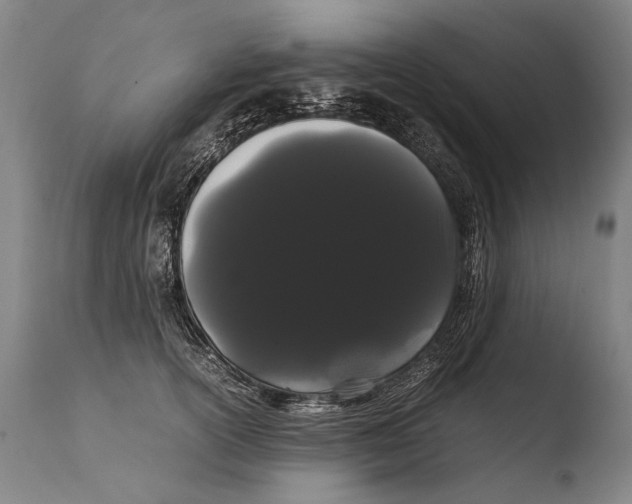 X0000108480754200904241300