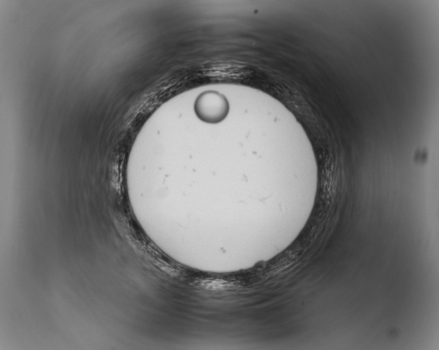 X0000108480755200904241300