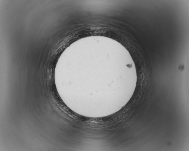 X0000108480756200904241300