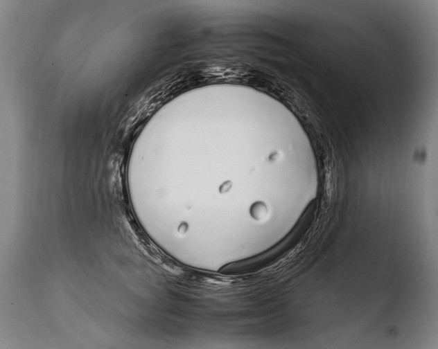 X0000108480757200904241300