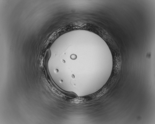 X0000108480758200904241300