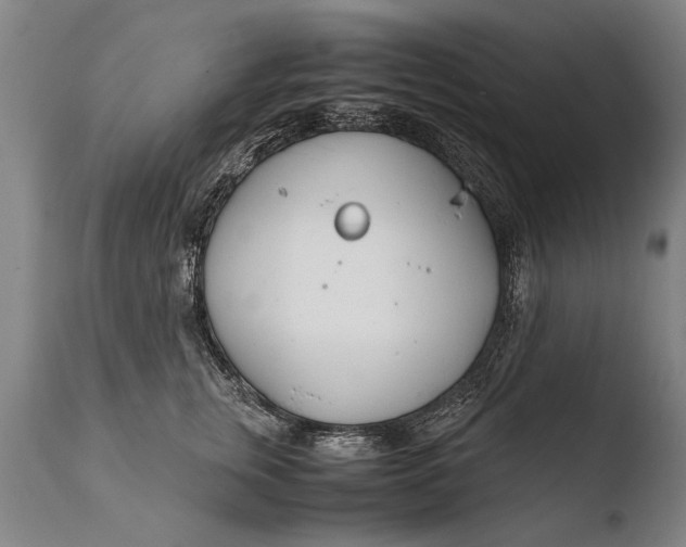 X0000108480759200904241300
