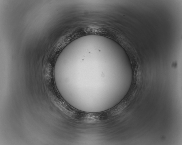 X0000108480760200904241300