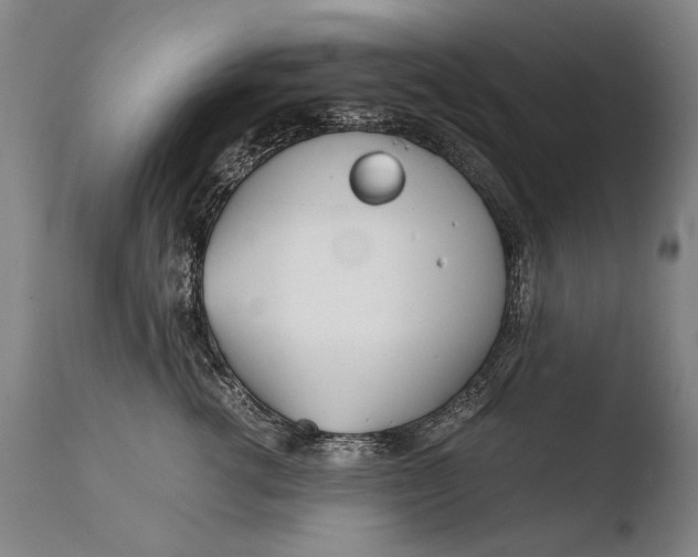 X0000108480762200904241300