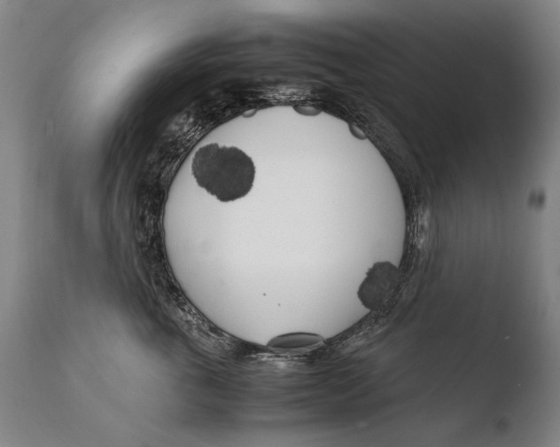 X0000108480763200904241300
