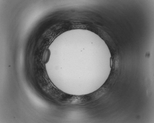 X0000108480764200904241300
