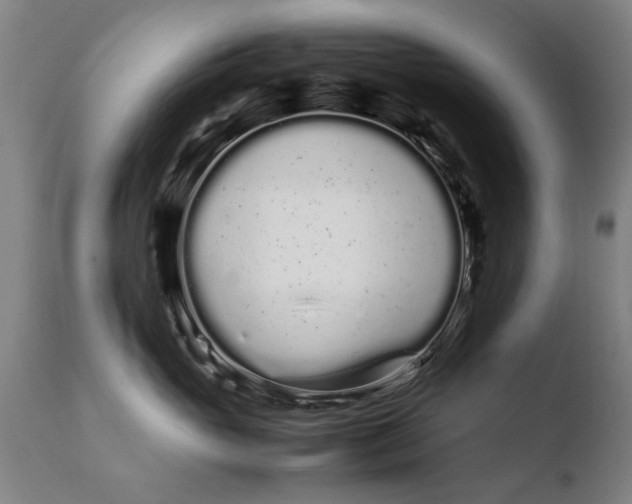 X0000108480765200904241300