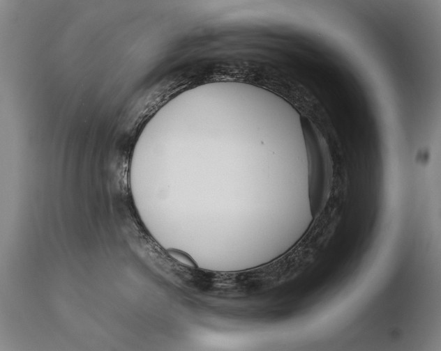 X0000108480766200904241300