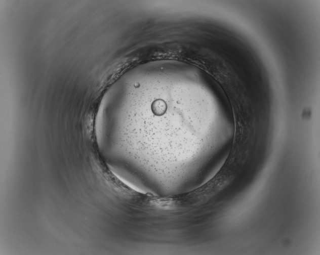 X0000108480767200904241300