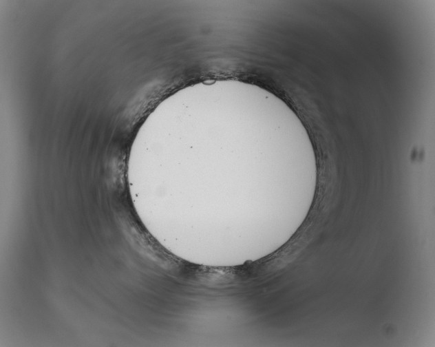 X0000108480768200904241300
