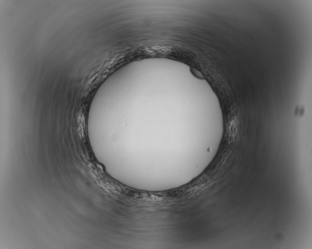 X0000108480772200904241259