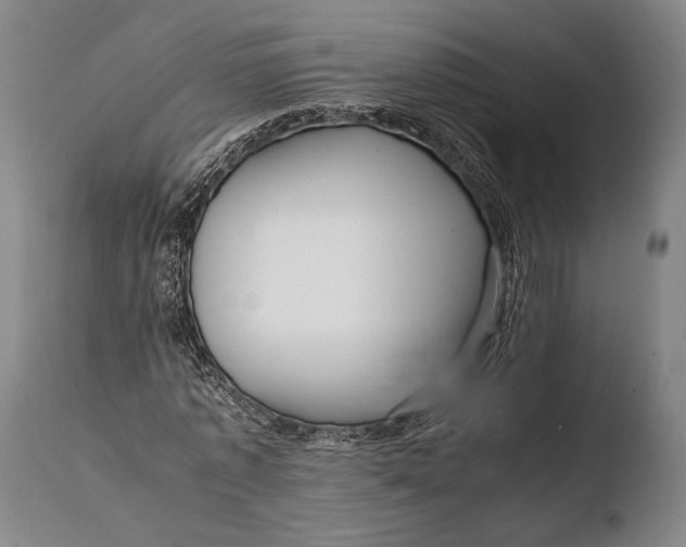 X0000108480773200904241259