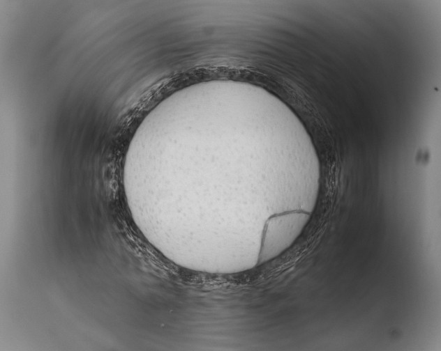 X0000108480774200904241259