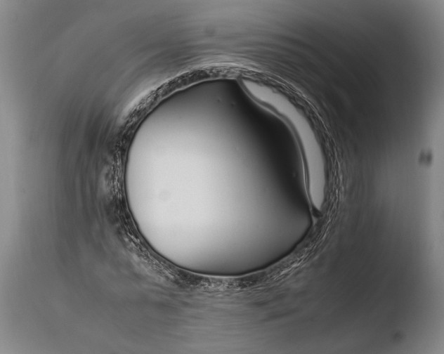 X0000108480775200904241259