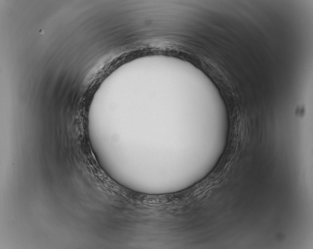 X0000108480776200904241259