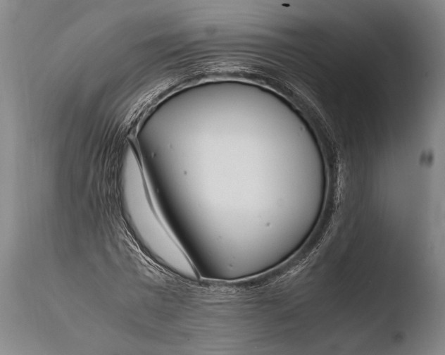 X0000108480777200904241259